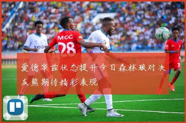 爱德华兹状态提升今日森林狼对决灰熊期待精彩表现