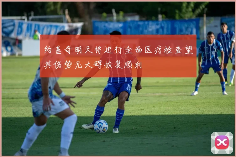 约基奇明天将进行全面医疗检查望其伤势无大碍恢复顺利