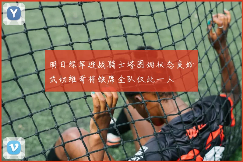 明日绿军迎战骑士塔图姆状态良好武切维奇将缺席全队仅此一人