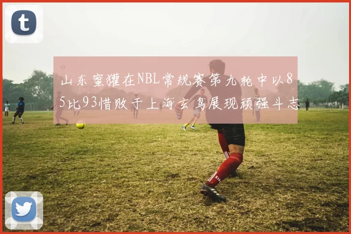 山东蜜獾在NBL常规赛第九轮中以85比93惜败于上海玄鸟展现顽强斗志